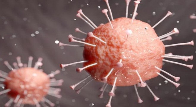 Koronavirüs salgınında ölenlerin sayısı 7 bin 056'ya ulaştı