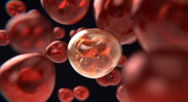 Koronavirüs salgınında vaka sayısı 30 bin 103'e ulaştı