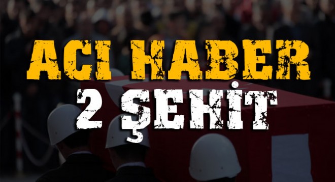 Lice'de askeri aracın geçişi sırasında patlama: 2 şehit