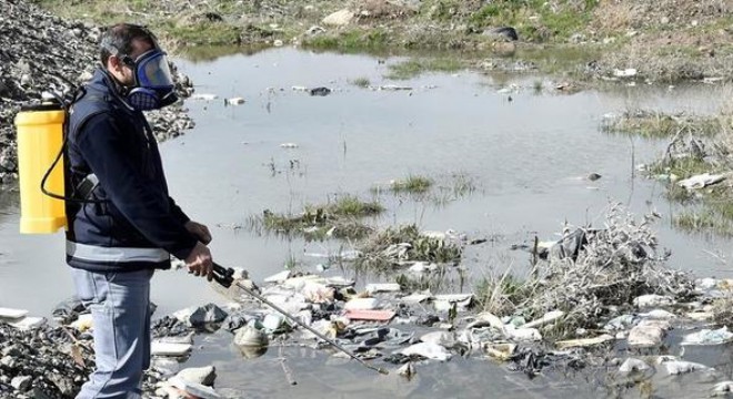 Mamak'ta larva ilaçlaması başladı