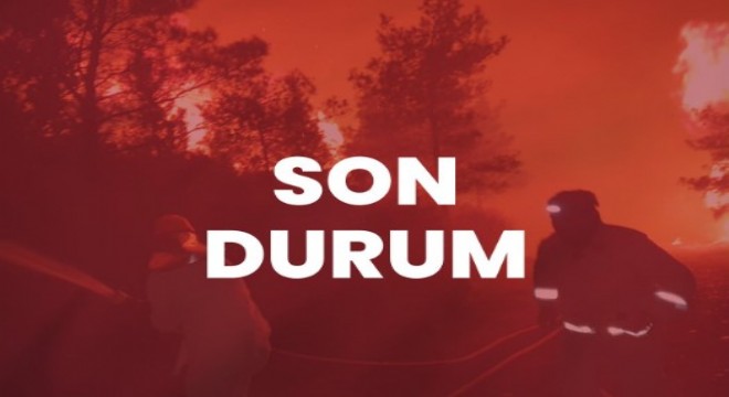 Marmaris'teki orman yangınında 'son durum'