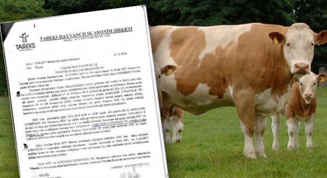 Müthiş iddia: Darbeden 3 gün sonra yurtdışına giden esrarengiz para