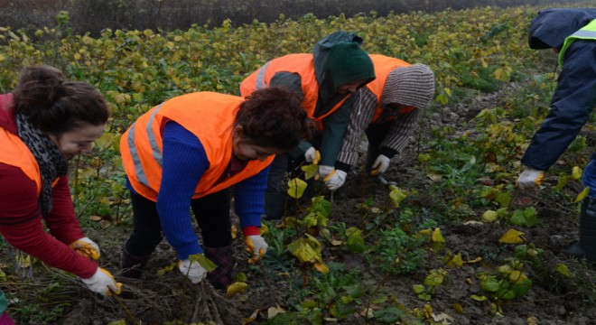 OGM'den kadın üreticilere 8.5 milyon TL destek