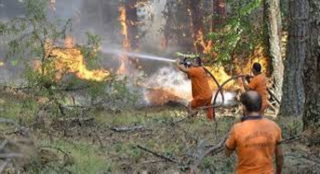 Orman Gönüllülerine Şehitlik ve Hak Düzenlemesi