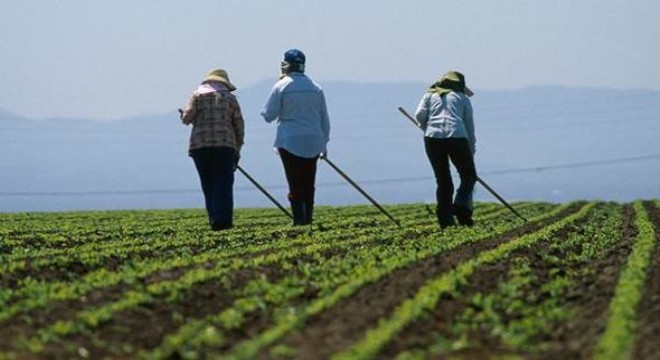 ‘Örnek Köy' ile tersine göç hedefi