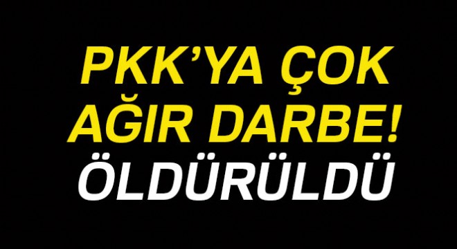 PKK'nın sözde bölge sorumlusu ölü olarak ele geçirildi