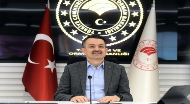 Pakdemirli: 