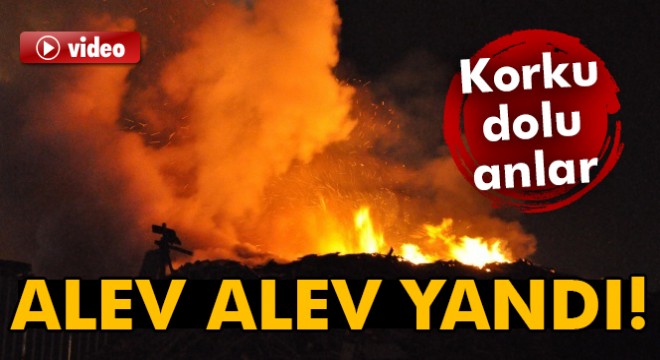 Palet üretim tesisindeki tahta paletler alev alev yandı