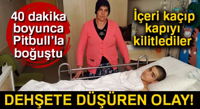 Pitbull'un parçaladığı çocuğa kimse yardım etmedi