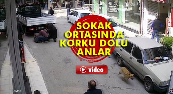 Polis-torbacı kovalamacası kamerada