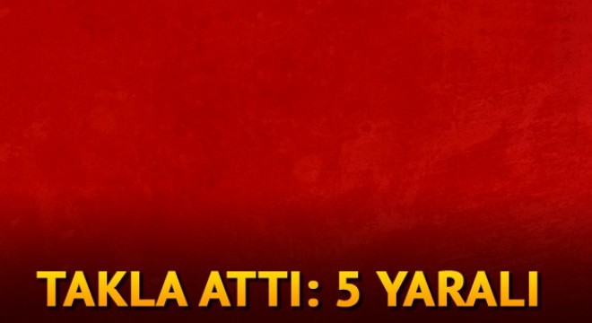 Şarampole yuvarlandı