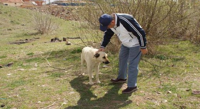 Sevimli dostlara kuduz aşısı