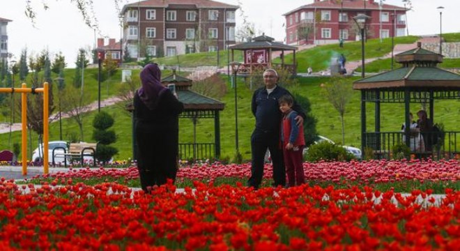 Sincan'ın laleleri