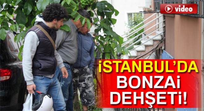Şişli'de bonzai dehşeti