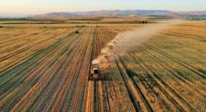 Tarım-Girdi Fiyatları Temmuzda Aylık %3,68 Arttı