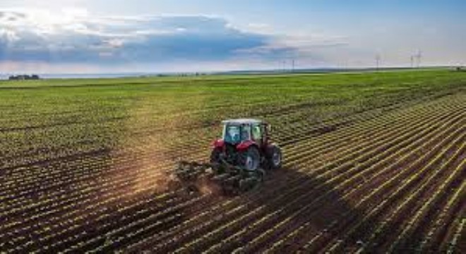 Tarım ÜFE Yıllık %44 Arttı