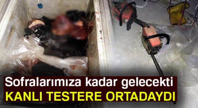 Testereli at ve eşek kasaplarına şok baskın