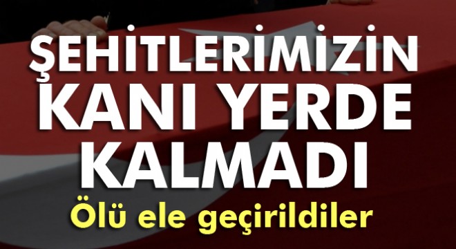 Tunceli'de 3 terörist öldürüldü