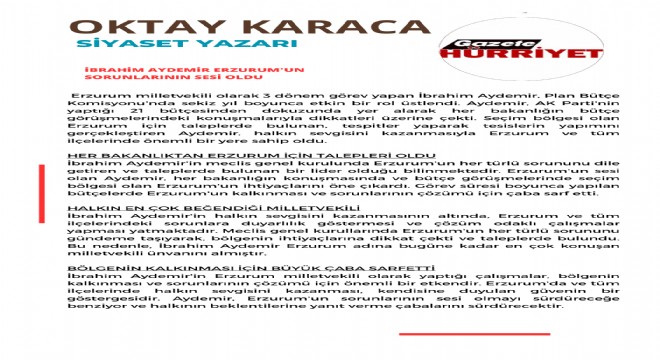 Türkiye'nin beğendiği vekil İbrahim Aydemir