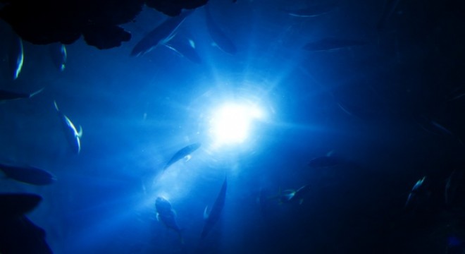 Uluslararası Astronotlar Akademisi, Çin'de inovasyon merkezi kuracak