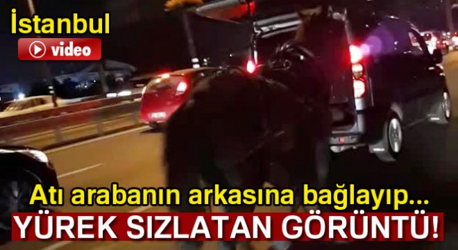 Vicdansız sürücü arabasının arkasına bağladığı atı peşinden koşturdu