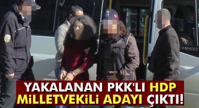 Yakalanan PKK'lı HDP eski milletvekili adayı çıktı