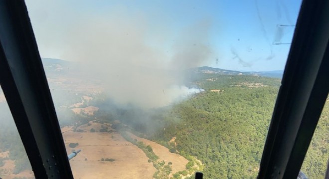 Çanakkale'deki orman yangını kontrol altında